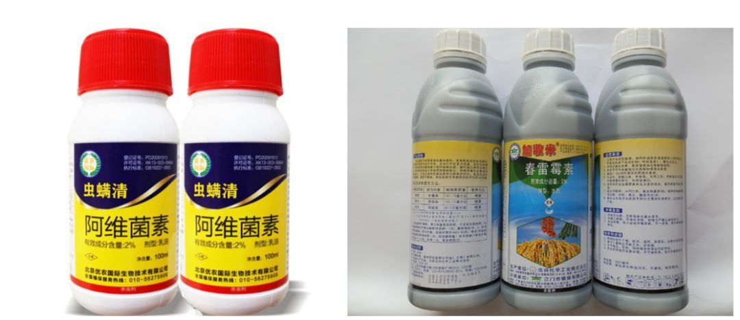 微生物農藥的種類及特點 助力綠色農業的生態防控技術解析