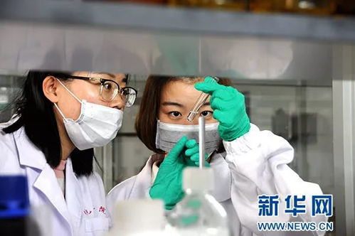 中藥治蟲更護田 農作物“喝藥保健”助推生物農藥步入春天