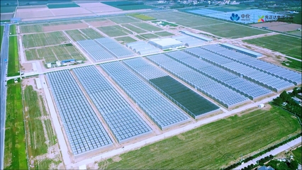 錨定農業強國目標 先正達集團以生物農藥技術研發驅動農業現代化轉型